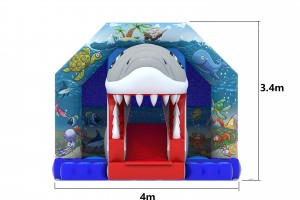 Petit Requin