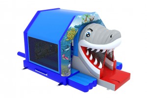 Petit Requin