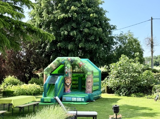 Petit Jungle