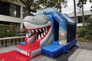 Petit Requin